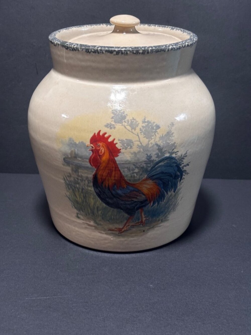 Home & Garden Party Stoneware Canister Rooster Design Handmade 71/2 in tall